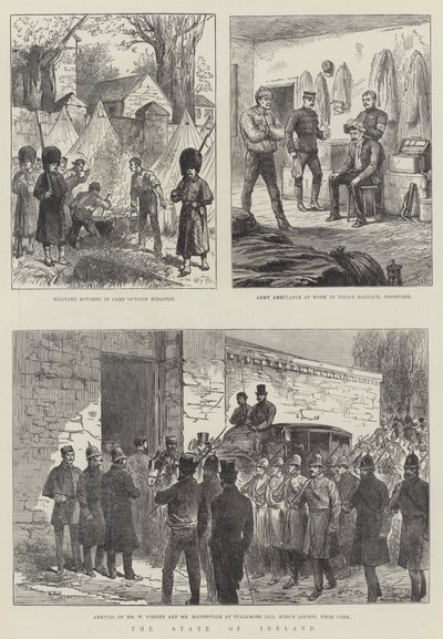 El estado de Irlanda de Walter Paget